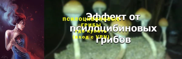 герыч Пересвет